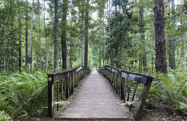 Tillie K. Fowler Regional Park photo 1